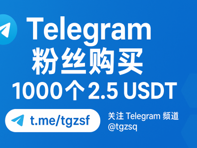 Telegram 粉丝购买指南，1000个仅 2.5 USDT。