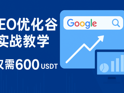 实战 SEO 优化谷歌教学， 一对一培训仅需 600 USDT 