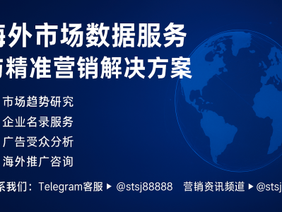 海外市场数据出售与精准营销服务|跨境推广解决方案