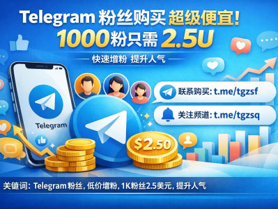 Telegram粉丝购买超便宜！1000粉只需2.5U｜快速涨粉提升频道人气