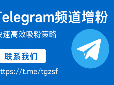 Telegram频道增粉技巧：快速提升订阅量的高效运营策略